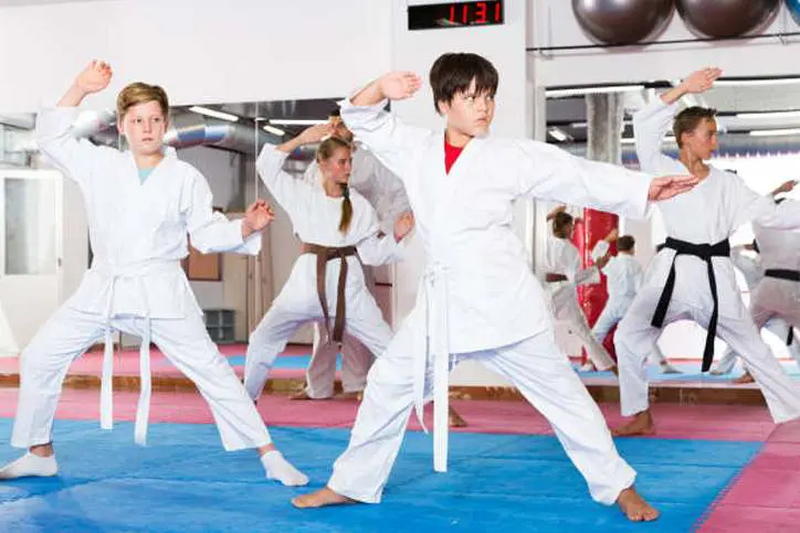 Teen Martial Arts in Kinsport TN