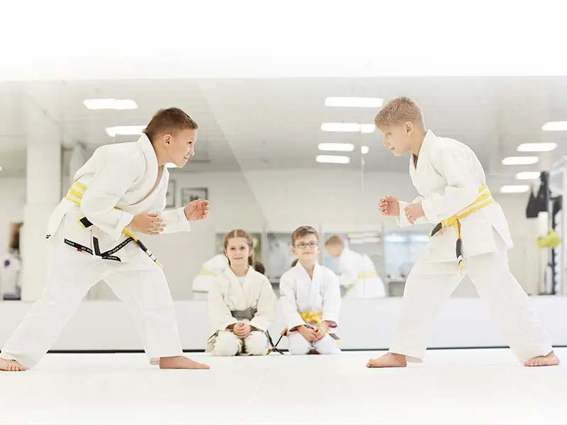 Martial Arts Kingsport