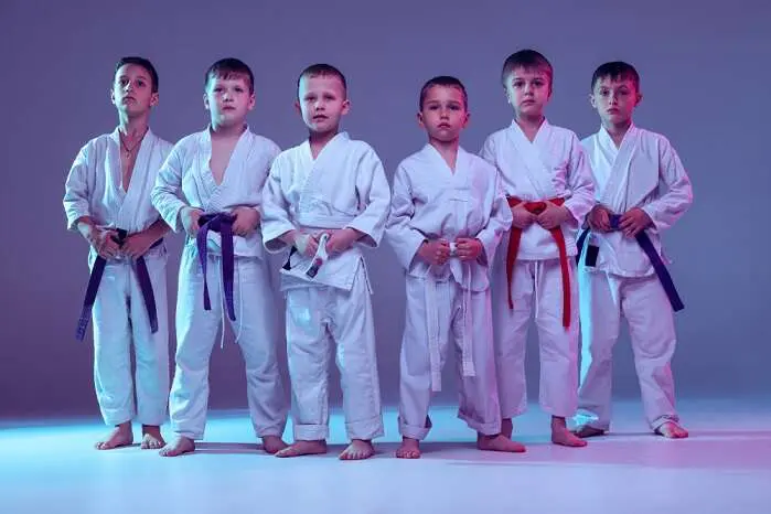 kids martial arts classes Kingsport